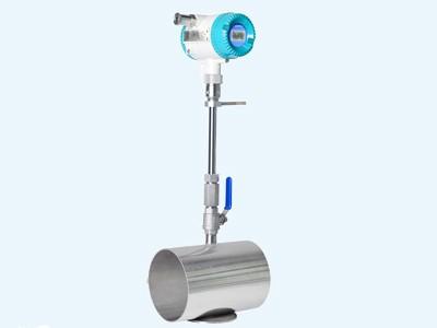 插入(ru)式(shi)熱式(shi)氣體(ti)質量(liang)流(liu)量(liang)計