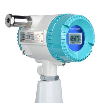 旋(xuan)進(jin)旋渦(wo)流量計(ji)