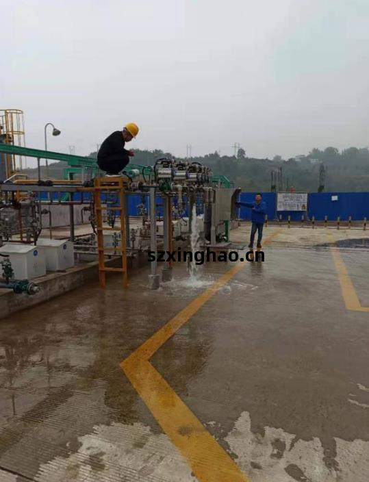 四(si)川防(fang)爆電磁(ci)流量計(ji)