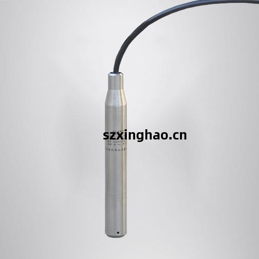 投入(ru)式(shi)液位(wei)計(ji)